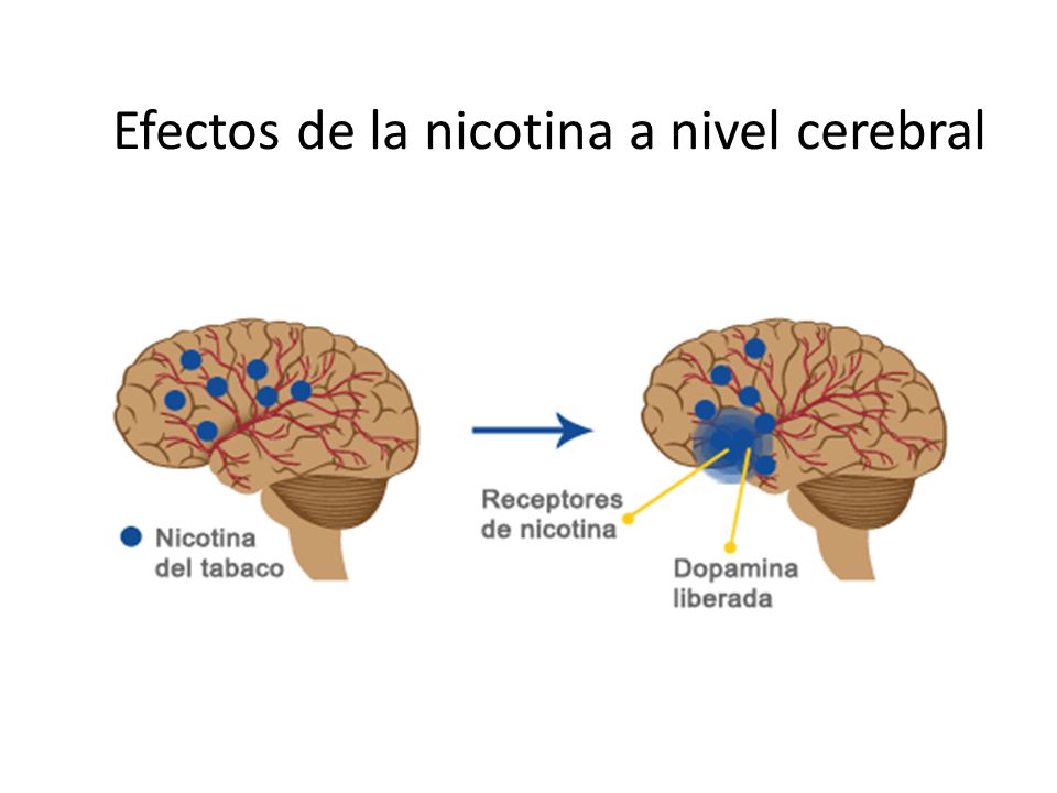 Ha dejado a fumar y han comenzado el problema con el intestino